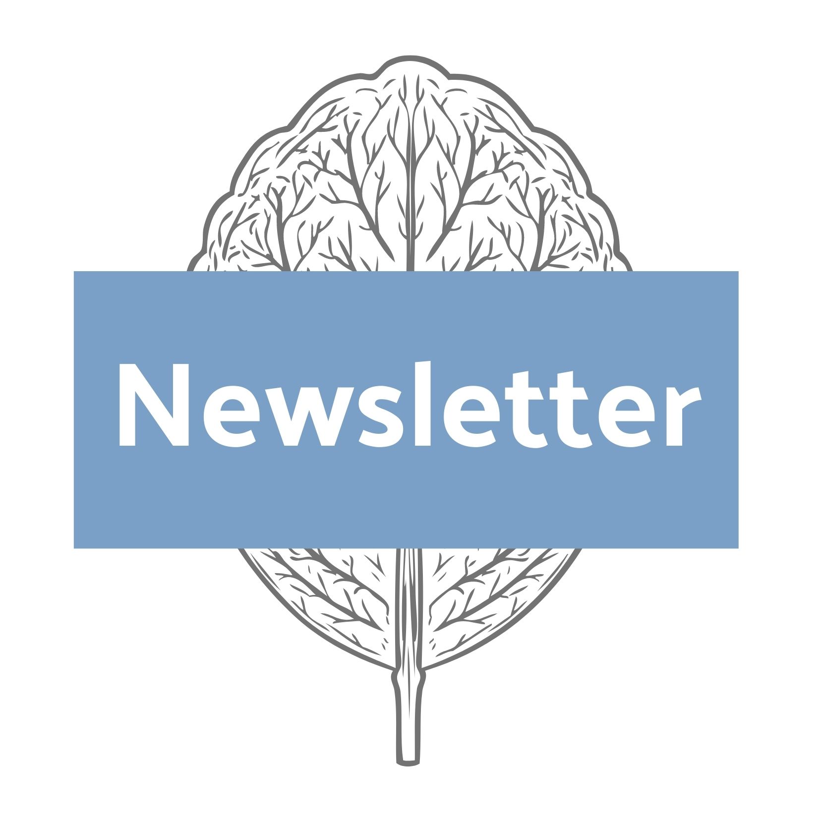 Newsletter Kompostella