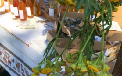 Kompostella przetwory domowe i przyprawy